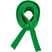 green karate belt sticker