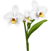 Orquídea blanca  sticker