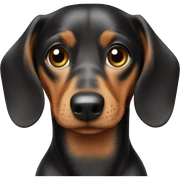 Dachshund ￼ sticker