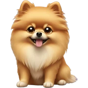 Pomeranian sticker