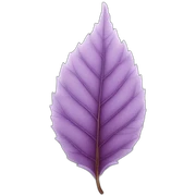Leaf sticker