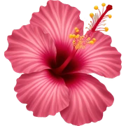 hibiscus sticker