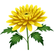 Yellow Chrysantheme sticker