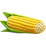 Corn sticker