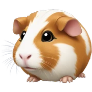 Guinea piG sticker