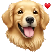 Golden retriever with heart sticker