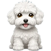 White maltipoo dog sticker