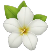Jasmin sticker