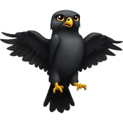 Black Falcon  sticker