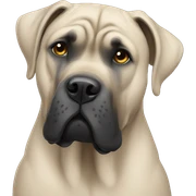 cane corso sticker