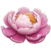 Peony sticker