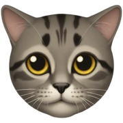 mochicat sticker