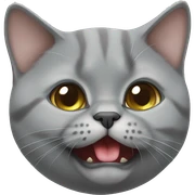 playful british shorthair with tongue out sticker