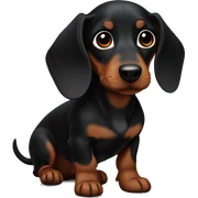 Black brown dachshund pup sticker