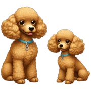 Two toy poodles sticker