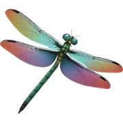 Dragonfly sticker
