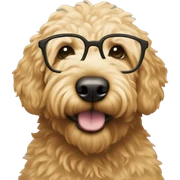 Golden doodle with glasses  sticker
