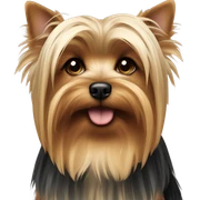 Yorkie sticker