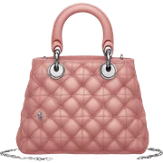 dior bag sticker