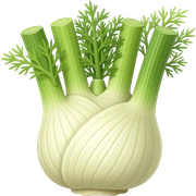 Fennel sticker