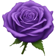 purple rose sticker