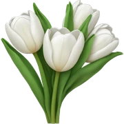 white tulip bouquet  sticker