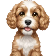 Cavapoo Puppy sticker