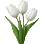 White tulips  sticker