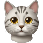 Cats sticker