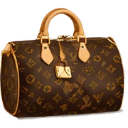louis vuitton sticker