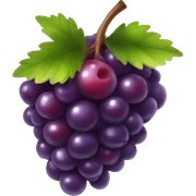 BERRY sticker