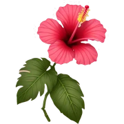 hibiscus sticker