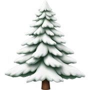 actual white fir christmas tree isolated.  sticker