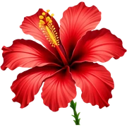 Hibiscus  sticker
