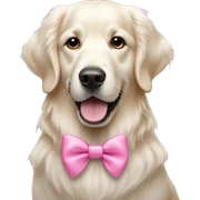 White golden retriever with pink bow sticker