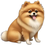 Pomerania sticker
