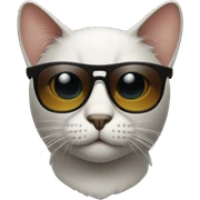 Cat with sunglasses sticker