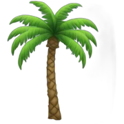 palm tree sticker