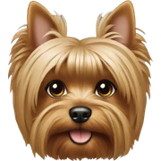 yorkie terier sticker