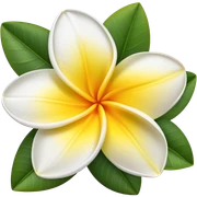 Plumeria sticker