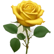 Yellow rose sticker