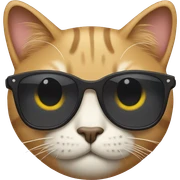 Cat with sunglasses sticker