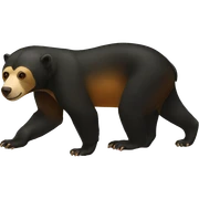 sun-bear sticker