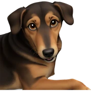 realistic dog on bed pillow sticker