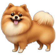 pomeranian sticker