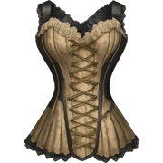 Beautiful vintage corset dress  sticker