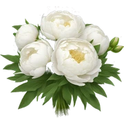 White peonies bouquet  sticker