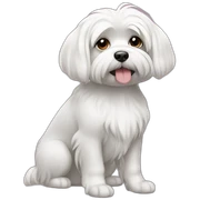 maltese sticker