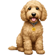 goldendoodle sticker