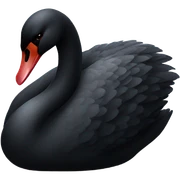 Black swan  sticker